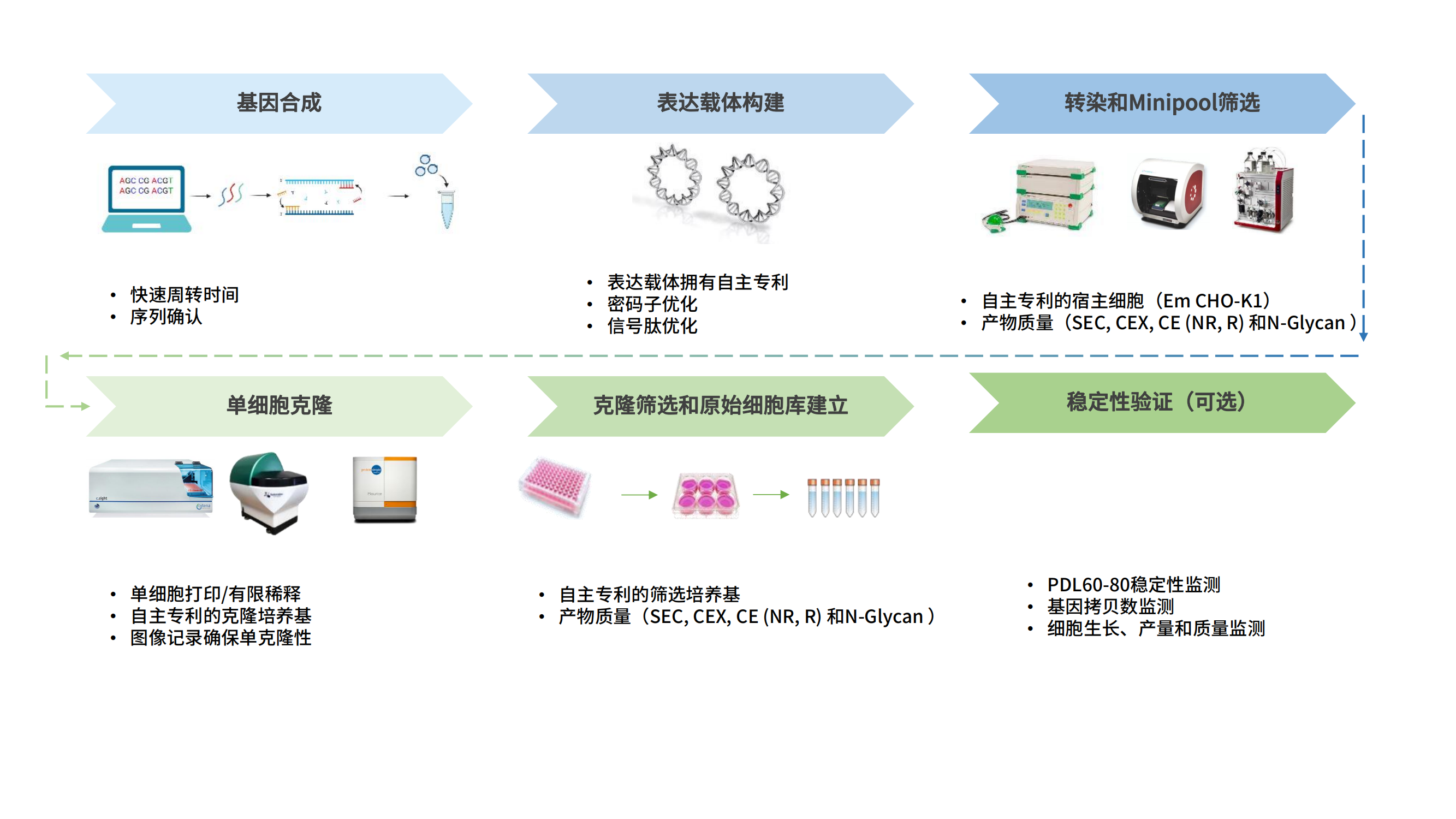 细胞株构建软文1_00